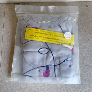 NWT Crewcuts Toddler Girl Grey Pajama Set Sz 3